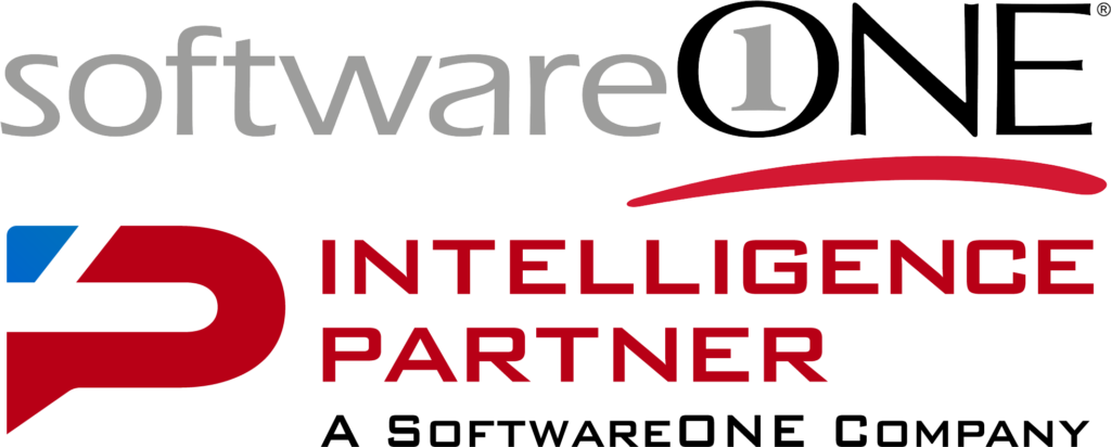 Intelligence Partner – A SoftwareONE Company: will be in charge of the technological infrastructure of the Data Management Summit 2021